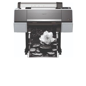 P6000 Cat